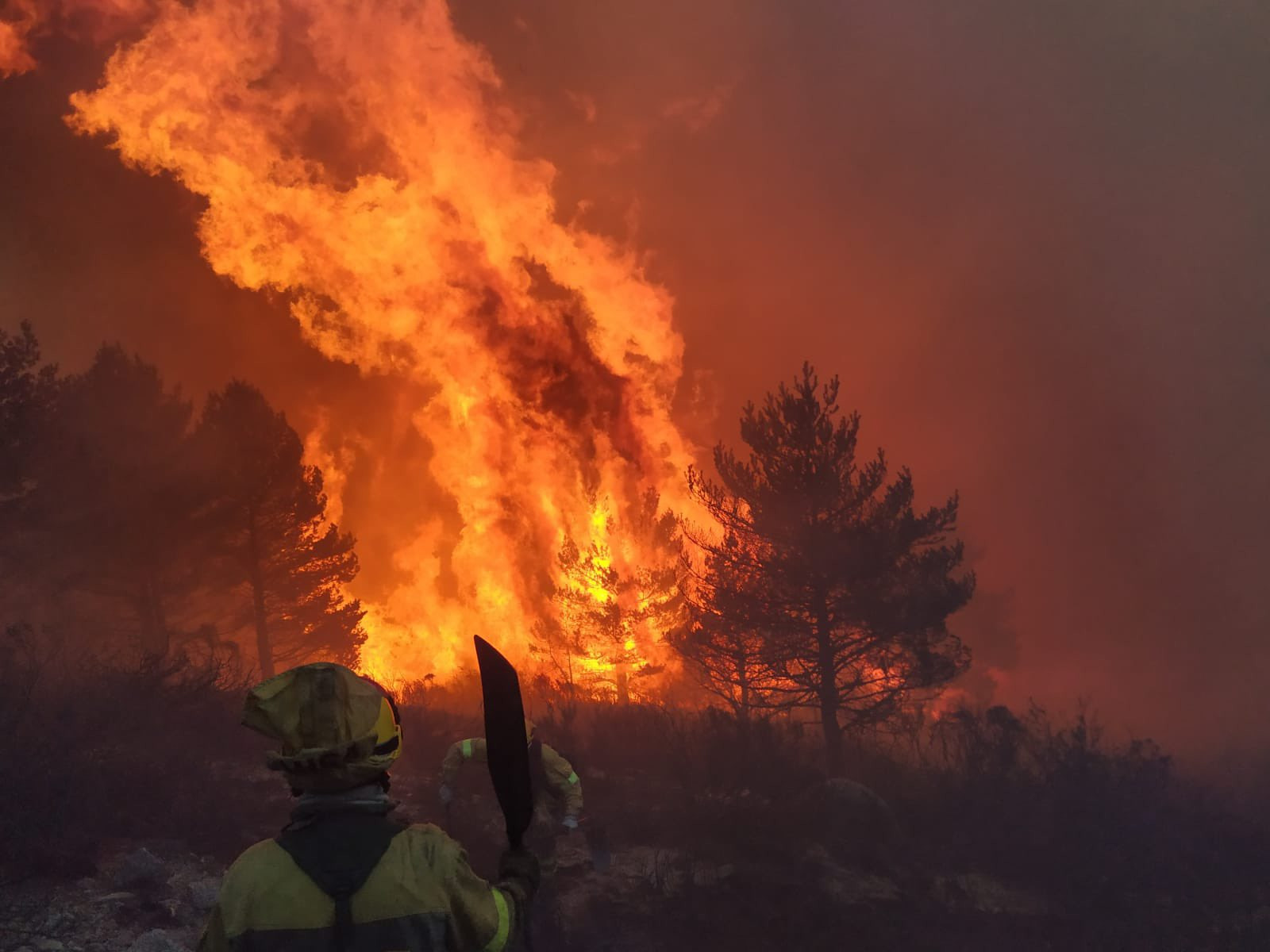 Declarada La Alerta De Riesgo De Incendios Forestales En Zamora