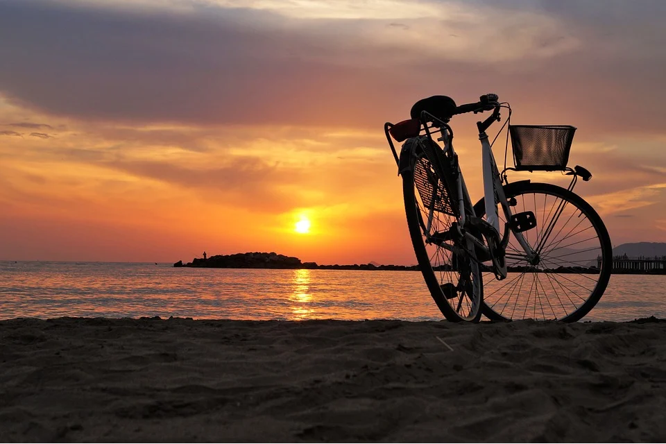 Bici