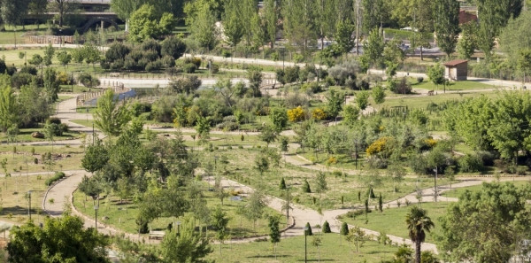 Prado de las Pavas Jardin Botanico 124 600x297 c