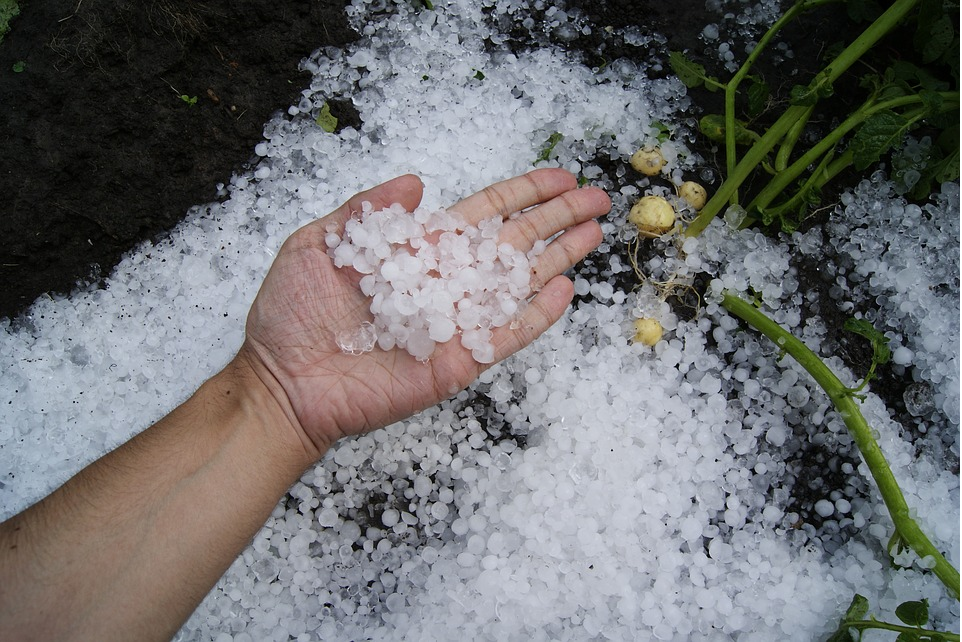 Granizo