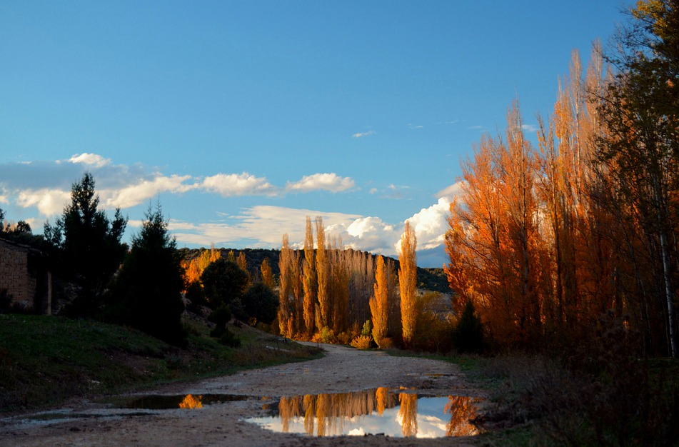 Soria