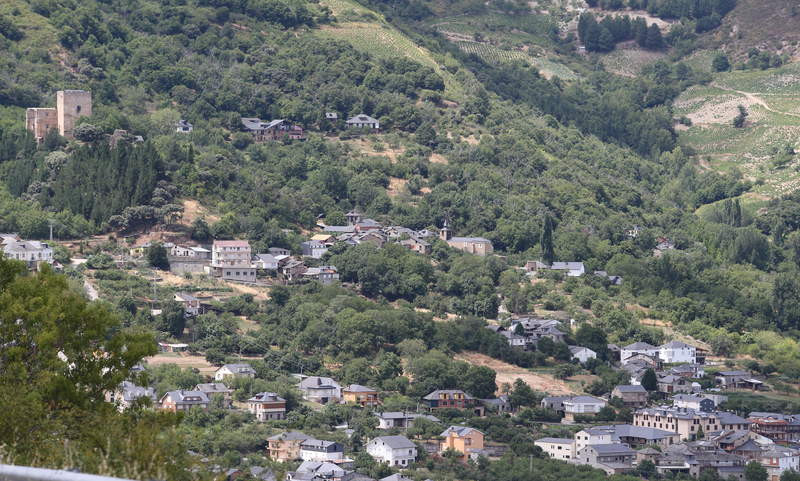 Corullonleon