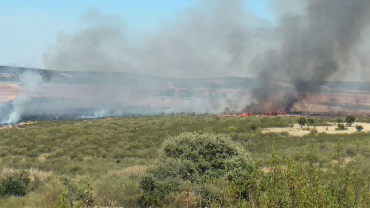 Incendio Losilla