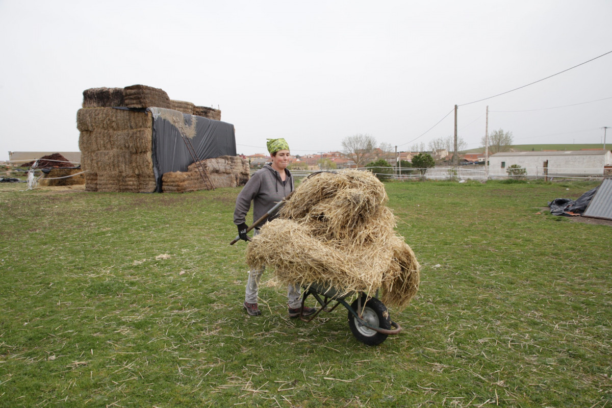 Mujer rural