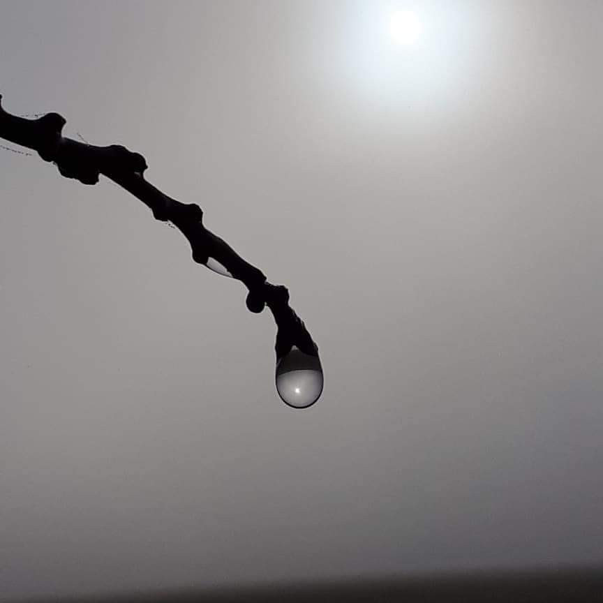 SEGUNDO ACCÉSIT  NIEBLA