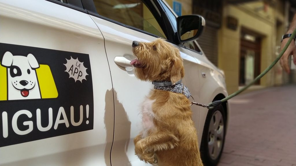 Taxi