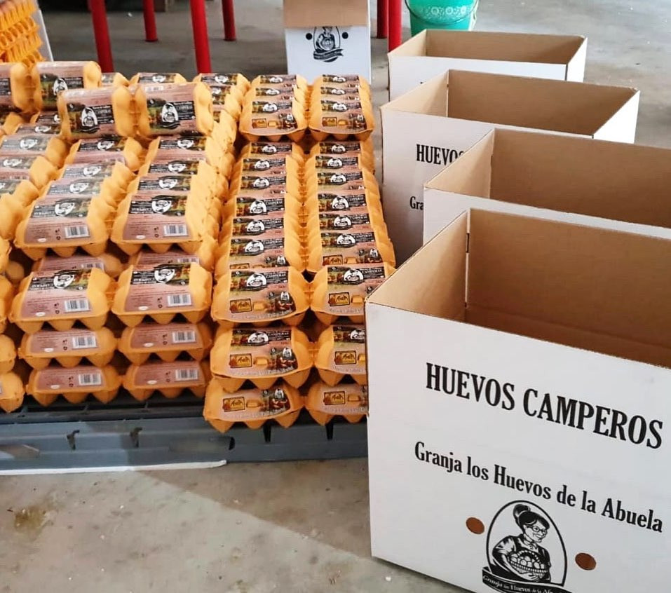 Huevos camperos