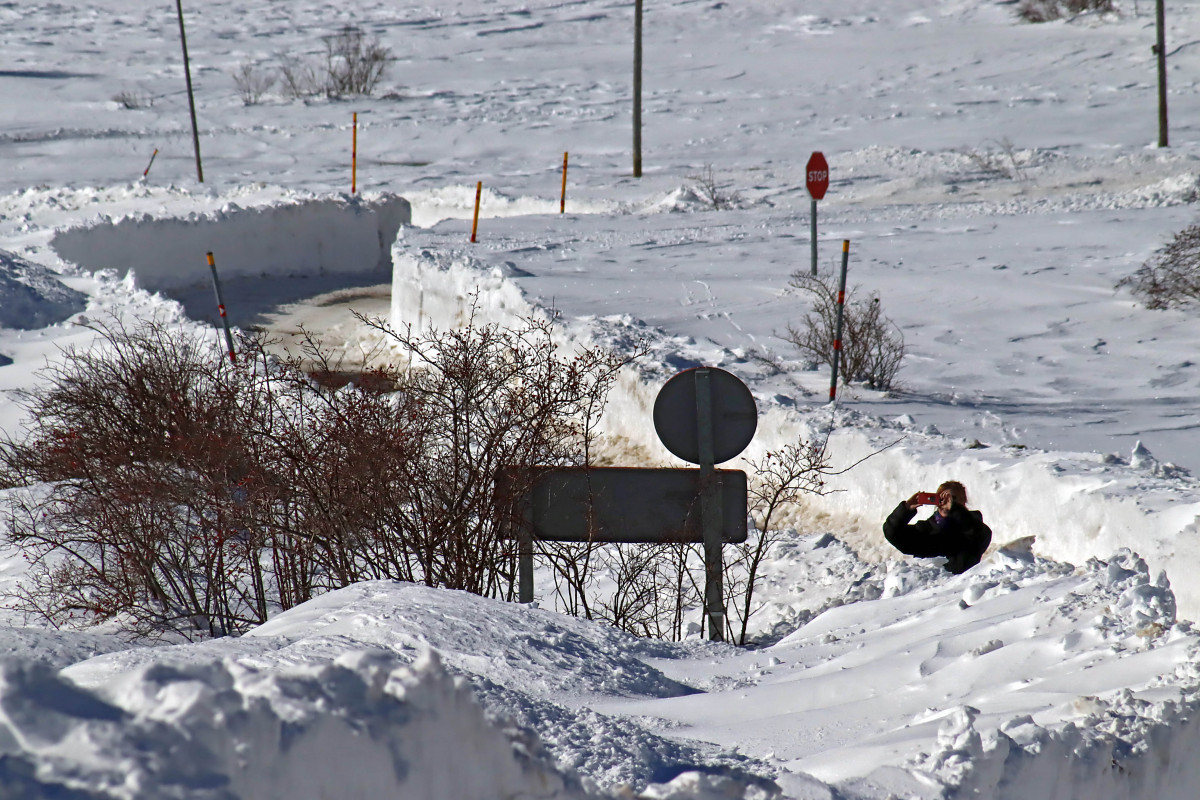 Nieve