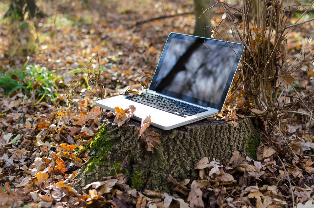 Digitalización campo