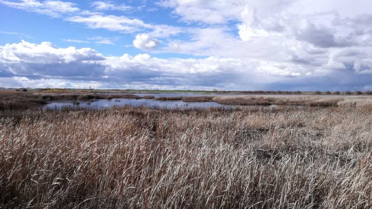 Laguna de la Nava