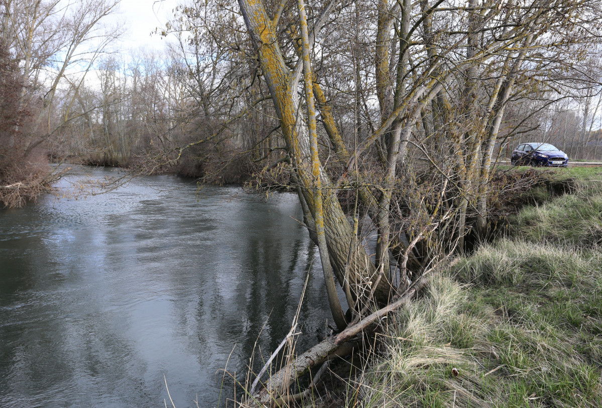 Río Carrión Palencia