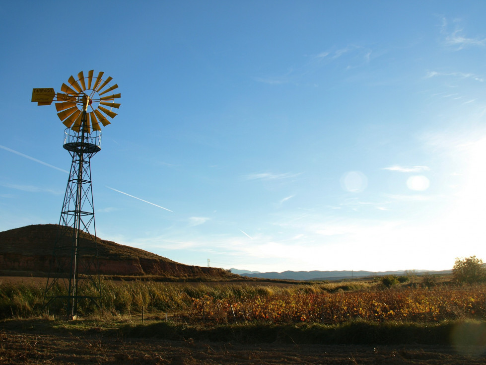 Regadío campo
