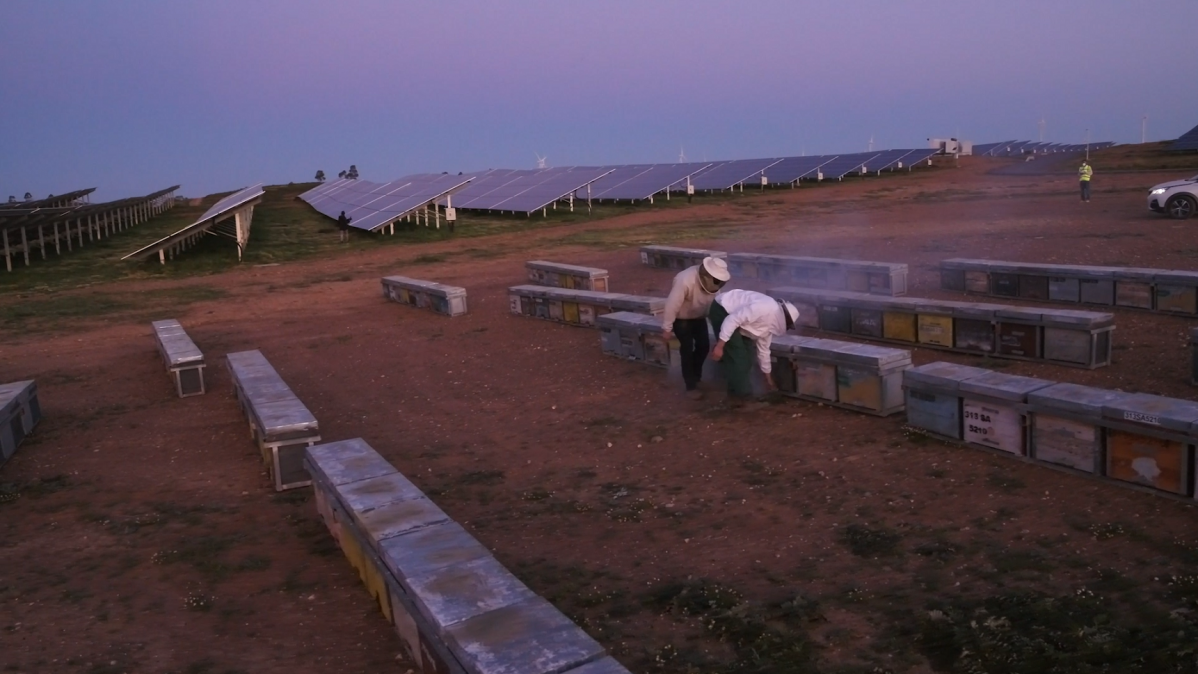 Iberdrola Colmenas