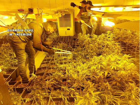 Plantaciu00f3n de marihuana en el interior de una vivienda de Valladolid