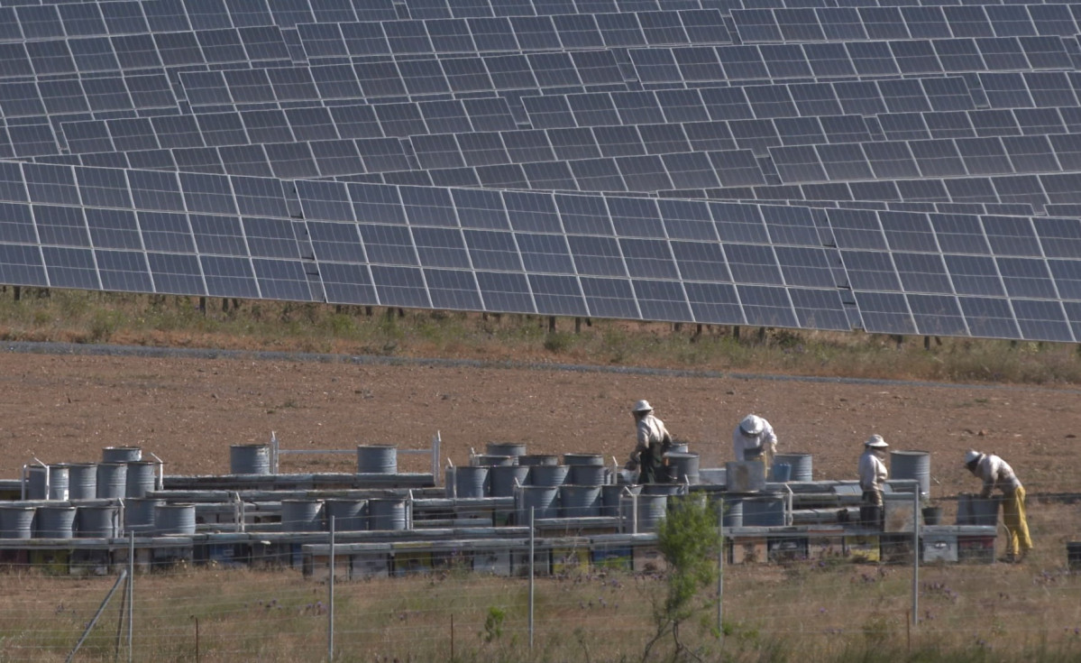 Iberdrola Recolecciu00f3n miel FV Andu00e9valo (Huelva) ok