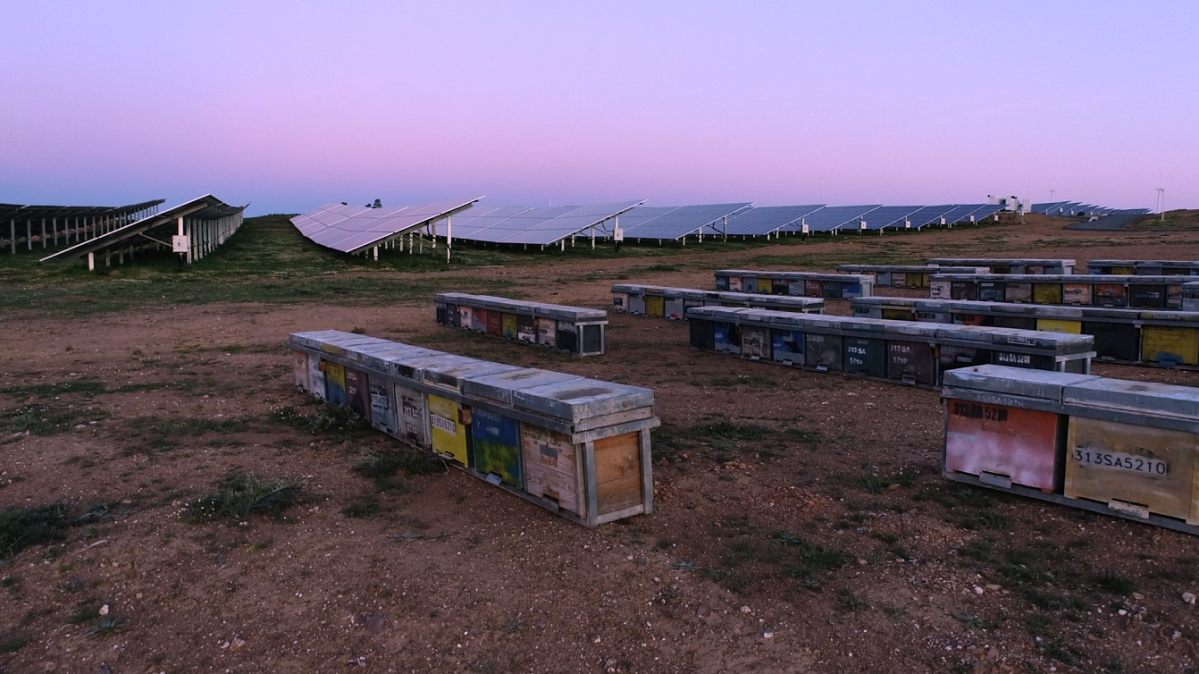 Iberdrola Instalaciu00f3n colmenas