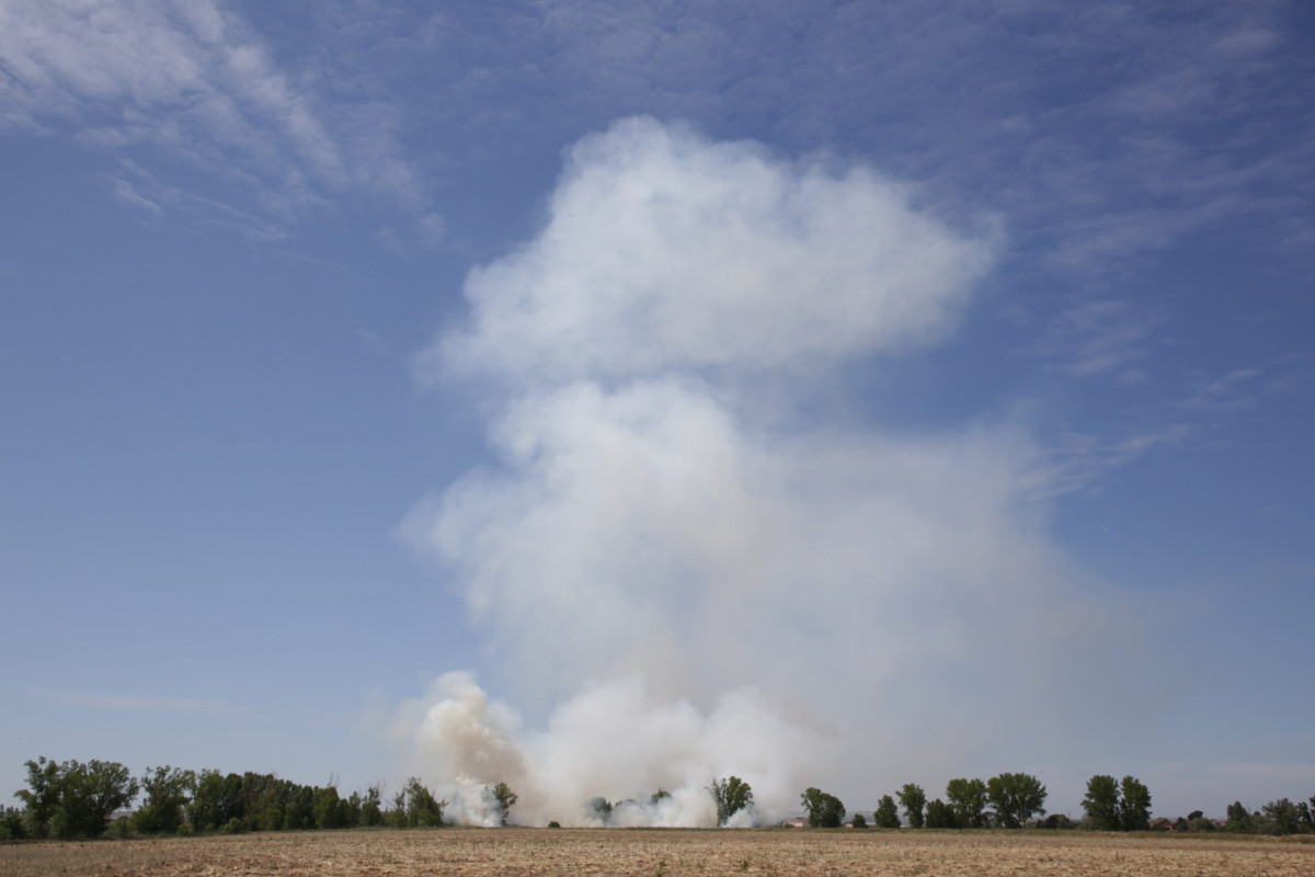 Incendio a orillas del Duero en Zamora 2