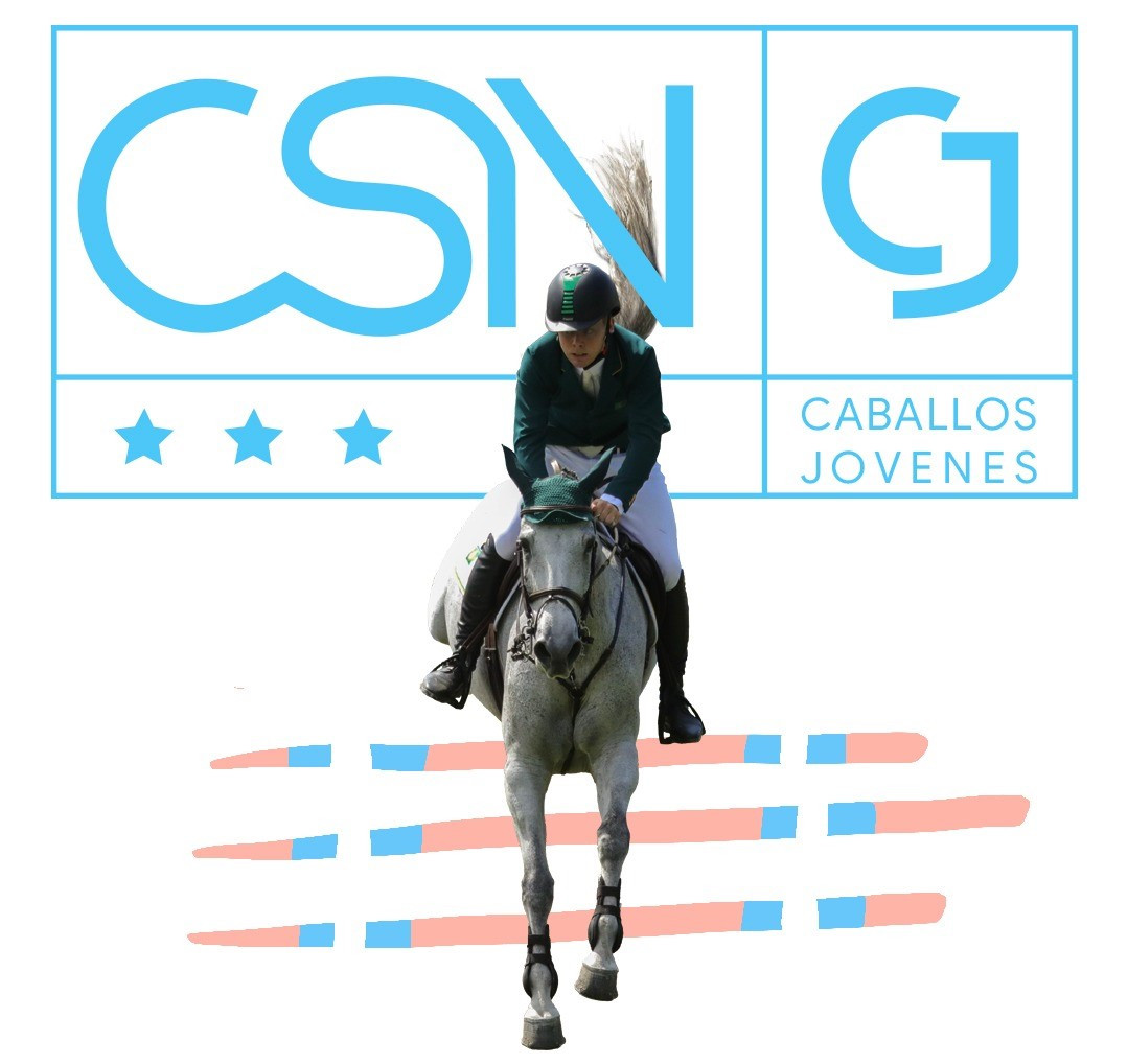San pedro ok CABALLOS JOVENES