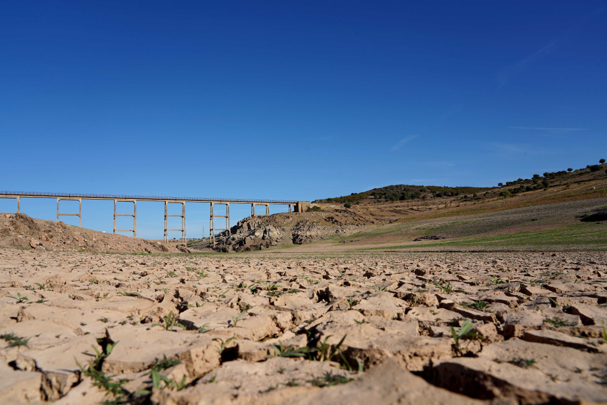 Bajada de la cota de agua en Ricobayo