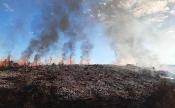 Incendio en pedralba de la praderia