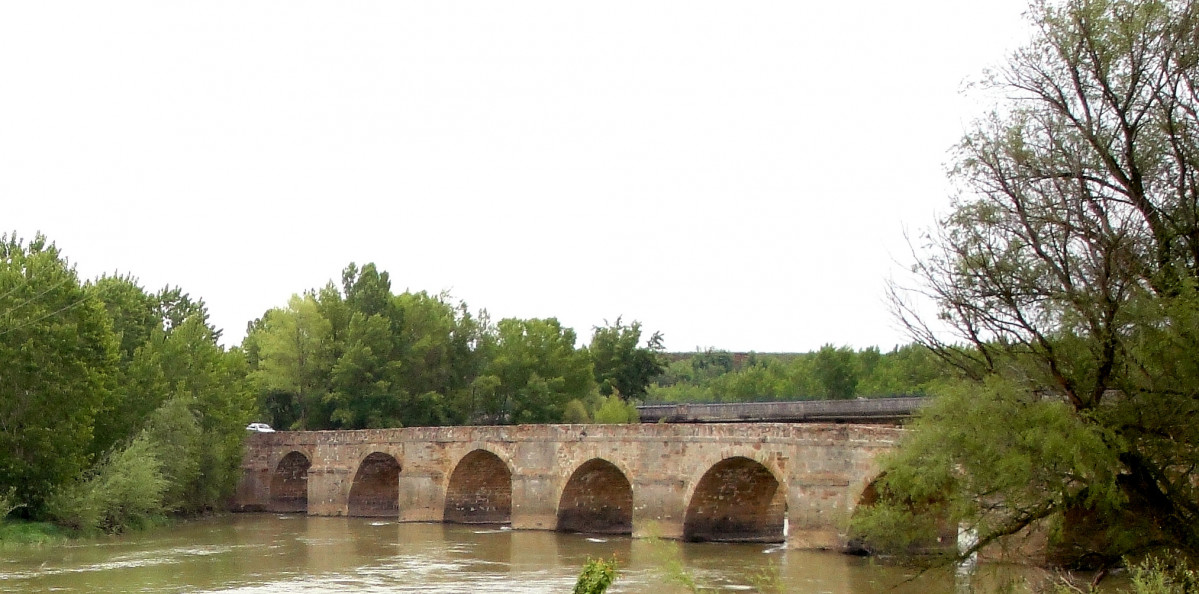 Puente Castrogonzalo