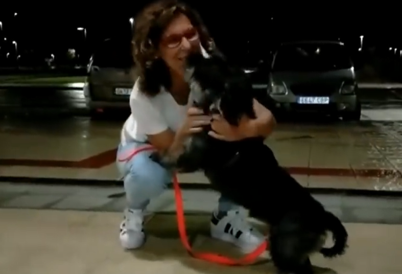 Reaperece el perro teckel tras el accidente de Lubiu00e1n