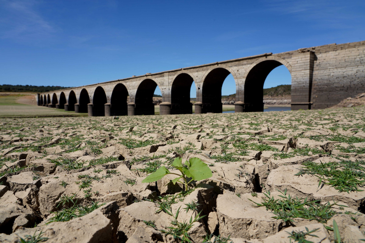 Bajada cota embalse ricobayo