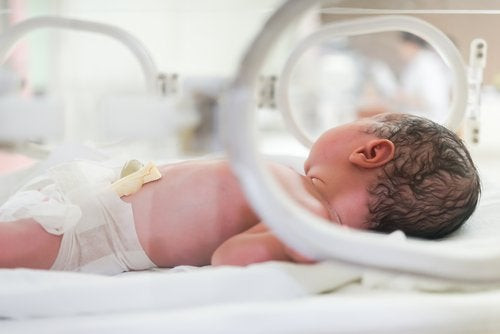Bebe prematuro incubadora 500x334