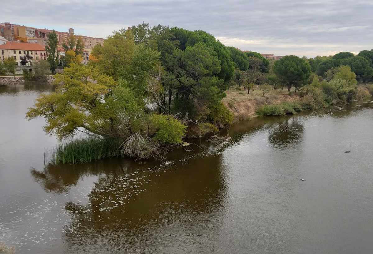 El río Duero a su paso por Zamora