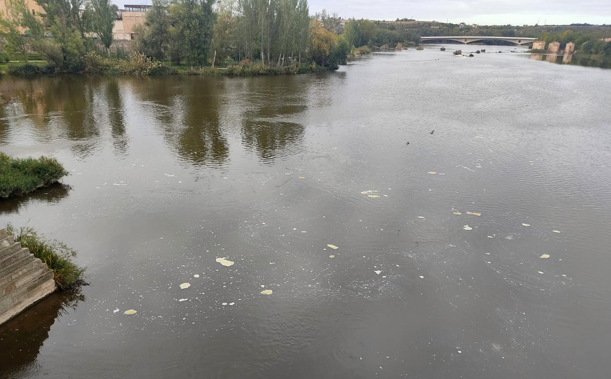 Manchas blancas en el río Duero en Zamora