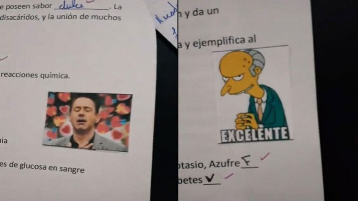 Calificaciu00f3n Meme