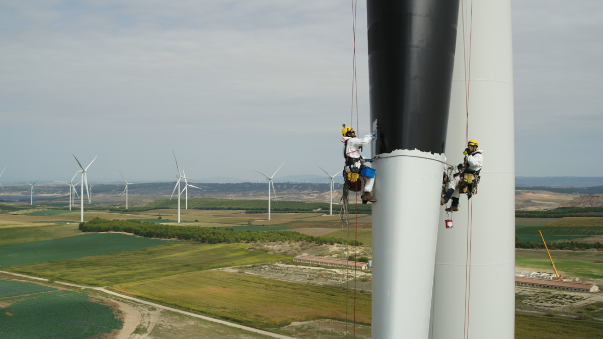 2021.10.13. Elementos disuasorios aves Iberdrola (3)