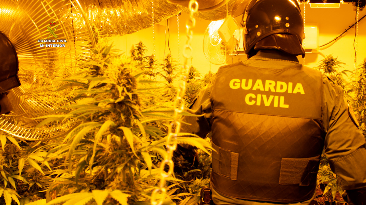 Guardia Civil Marihuana