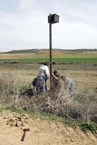 08PRN201203201116