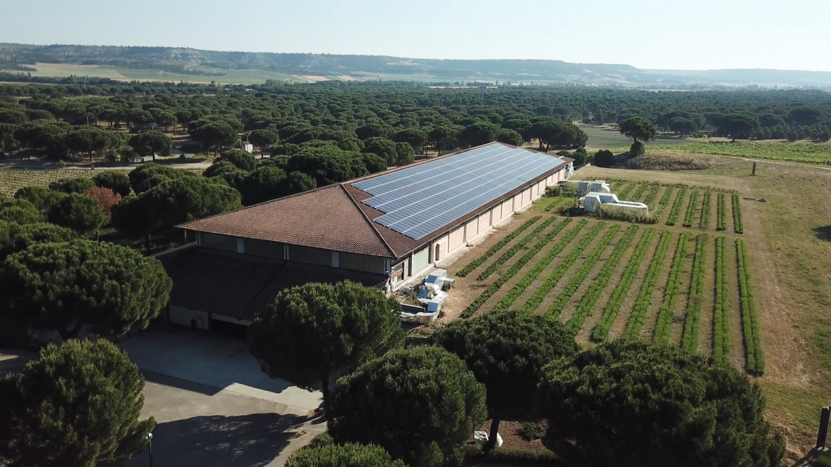 2021 09  Autoconsumo solar Iberdrola en Abadu00eda Retuerta