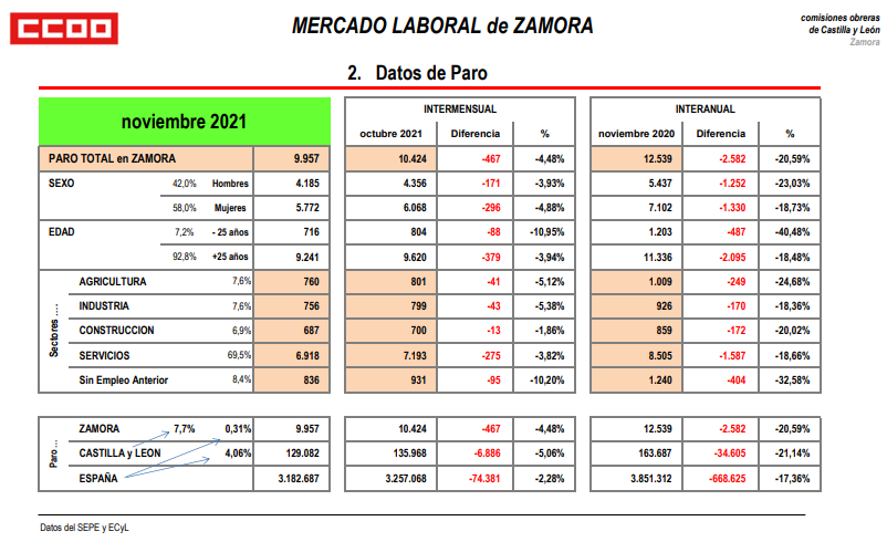 CCOO Zamora paro 2