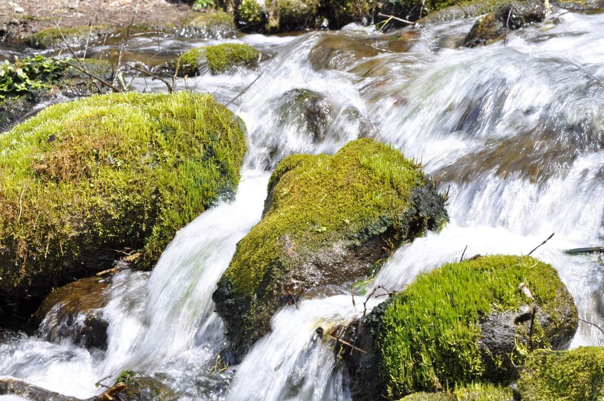 Caudal río