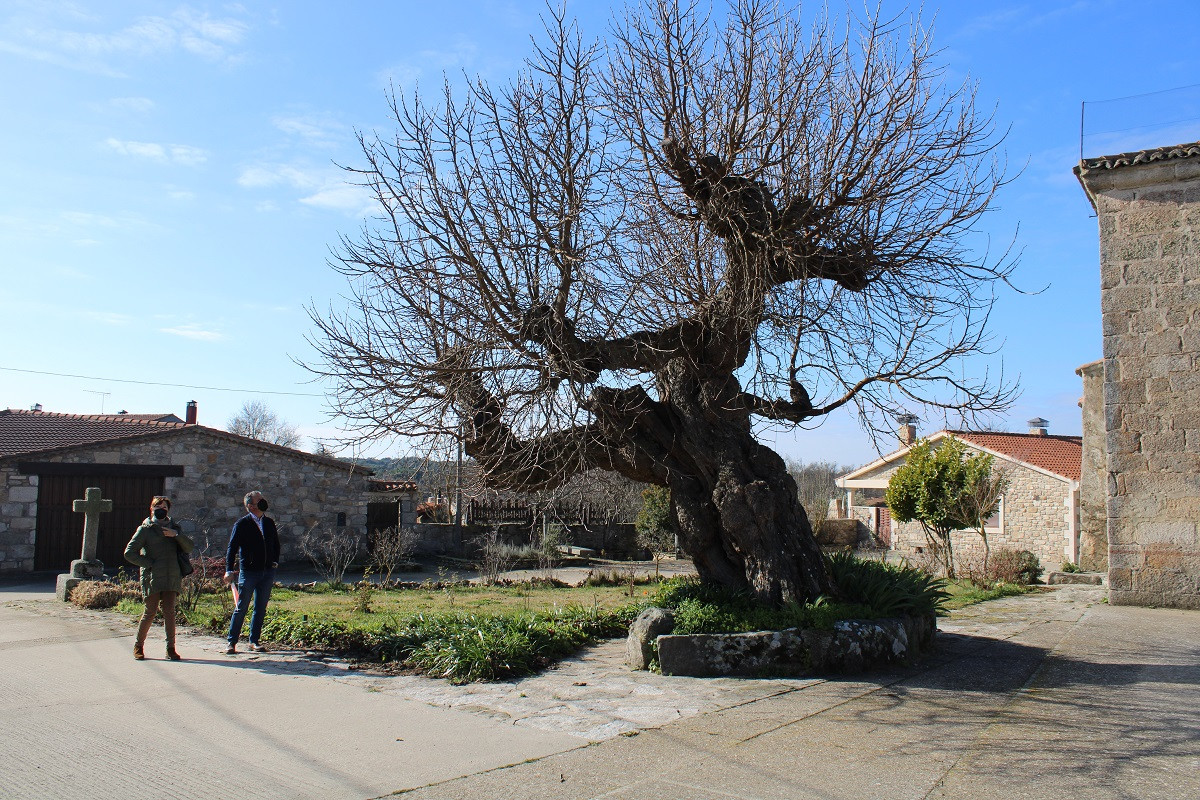 Zamora Decide Patrimonio natural