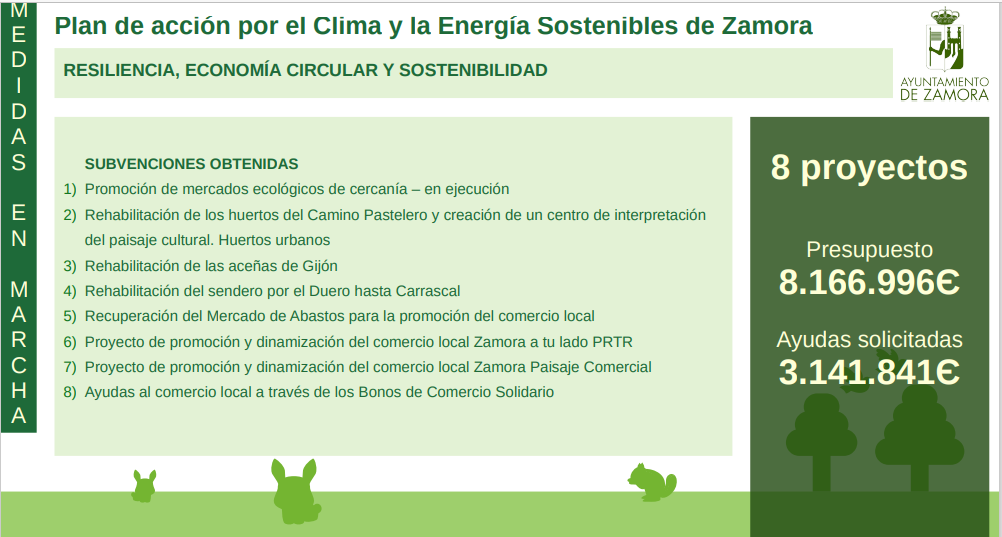 Plan de Acciu00f3n para el clima 12