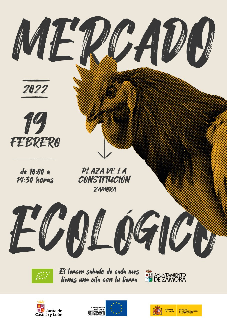 Mercado Ecolu00f3gico Febrero