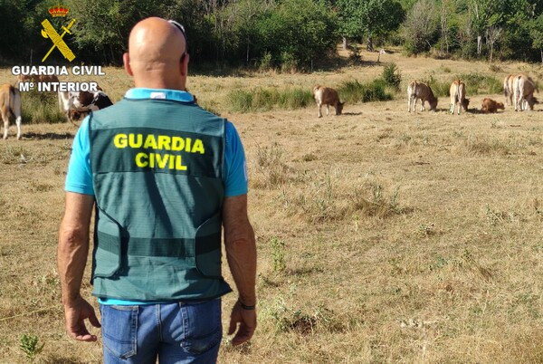 Guardia Civil