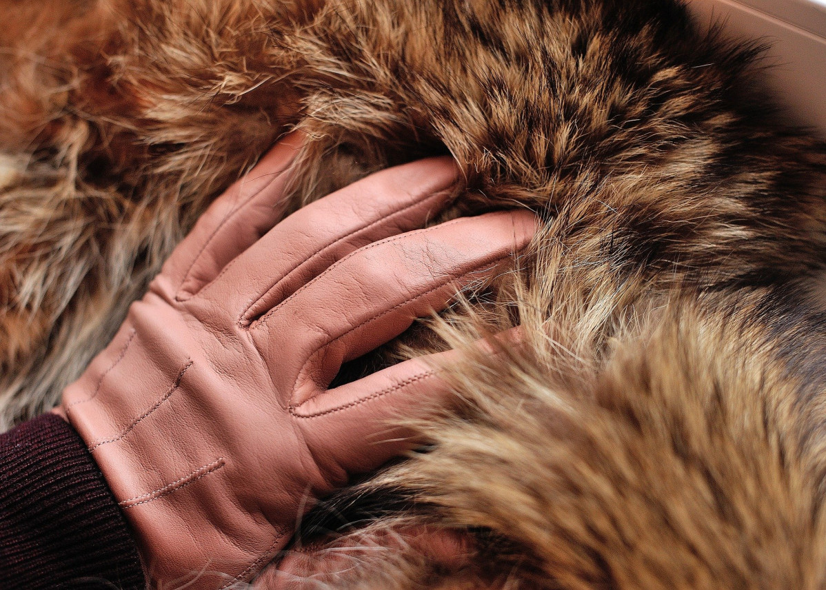 Tan gloves 4562830 1920