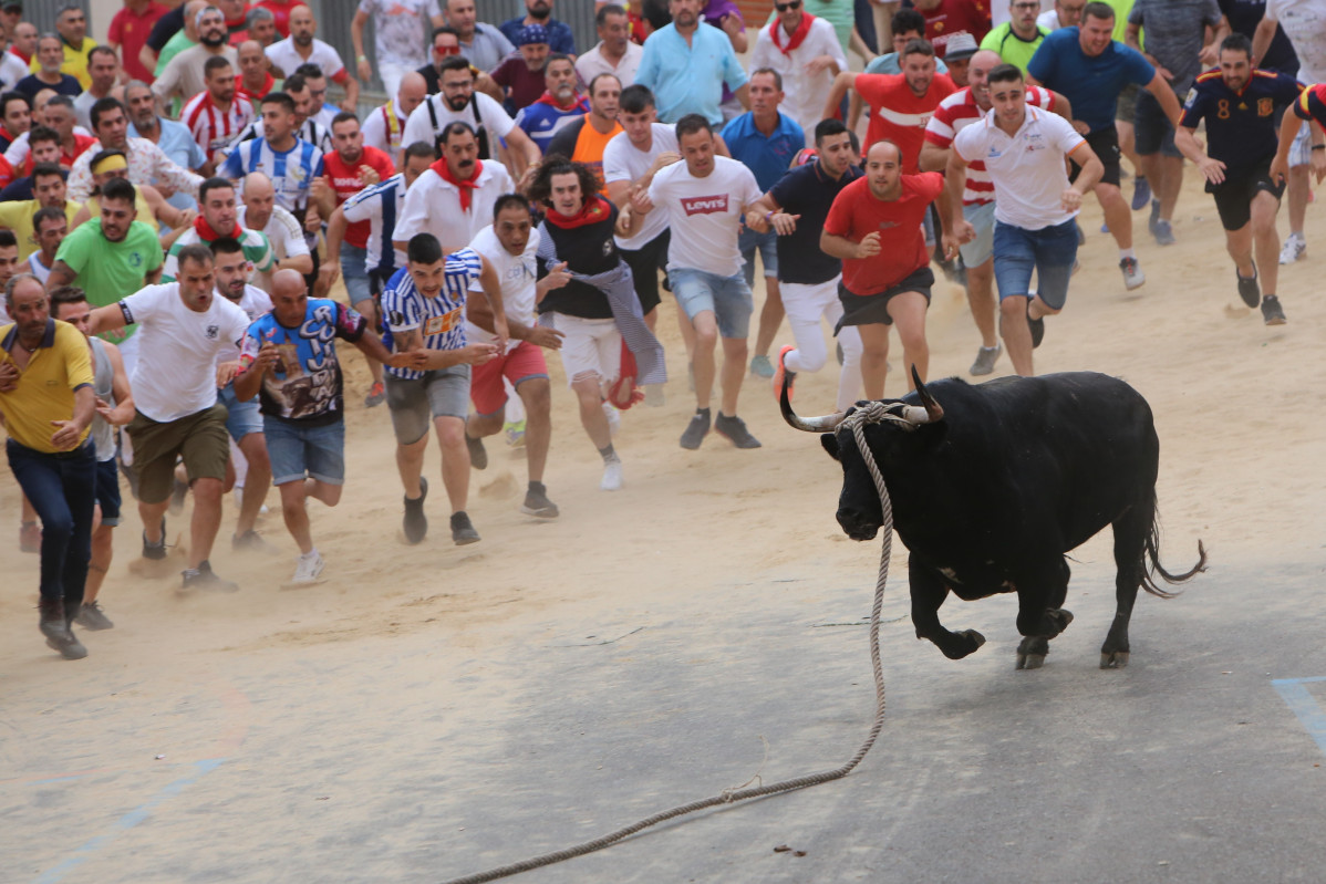 Toro enmaromado