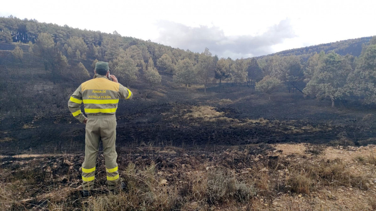 Incendio Sierra de la Culebra 2