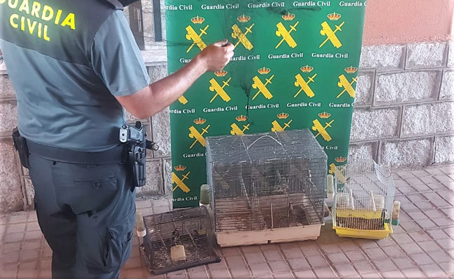 Guardia Civil aves