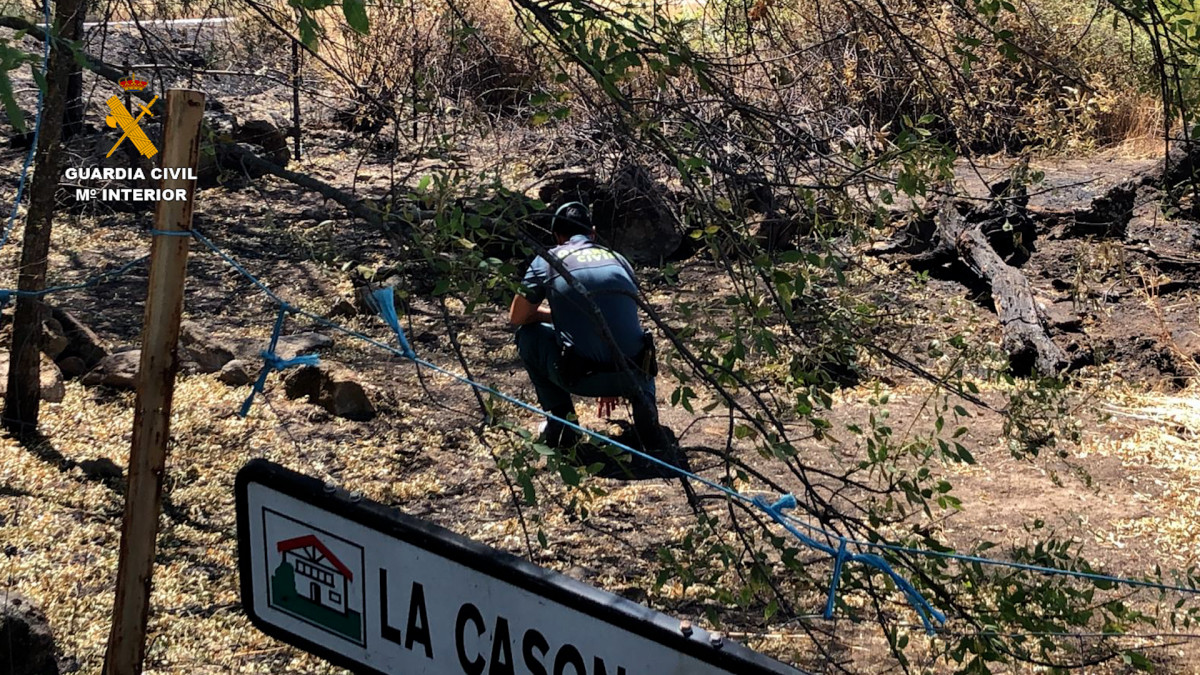 2022 07 29 detenido incendio forestal caceres 03