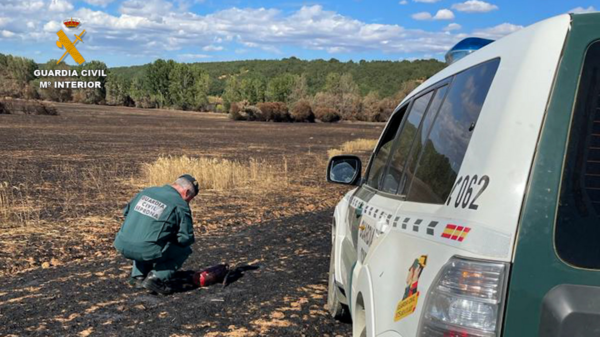 2022 08 01 investigados incendios palencia 002