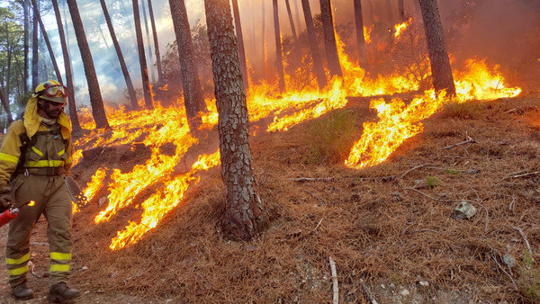 Incendio ávila