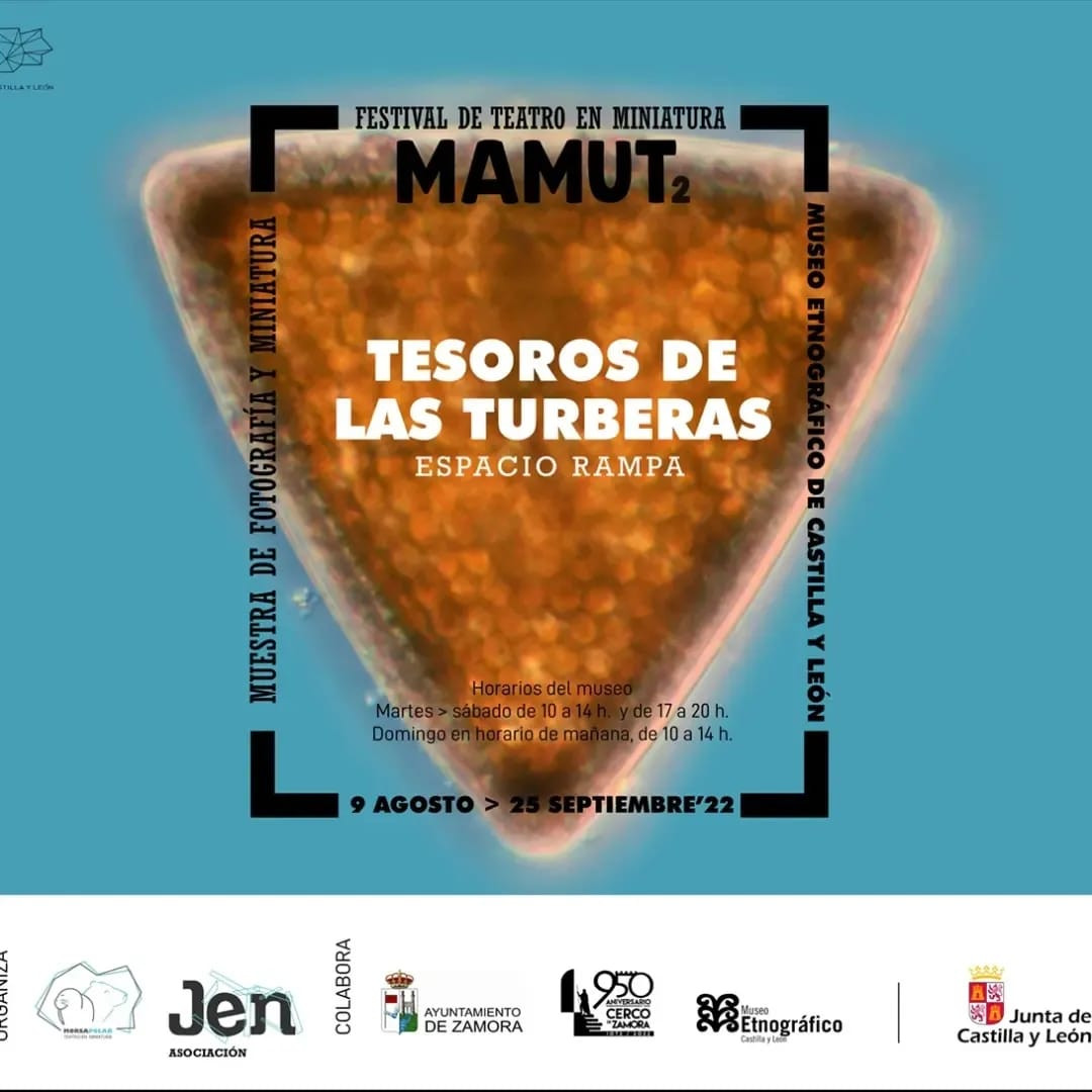 04. Mamut 2. Expo Tesoros de las Turberas