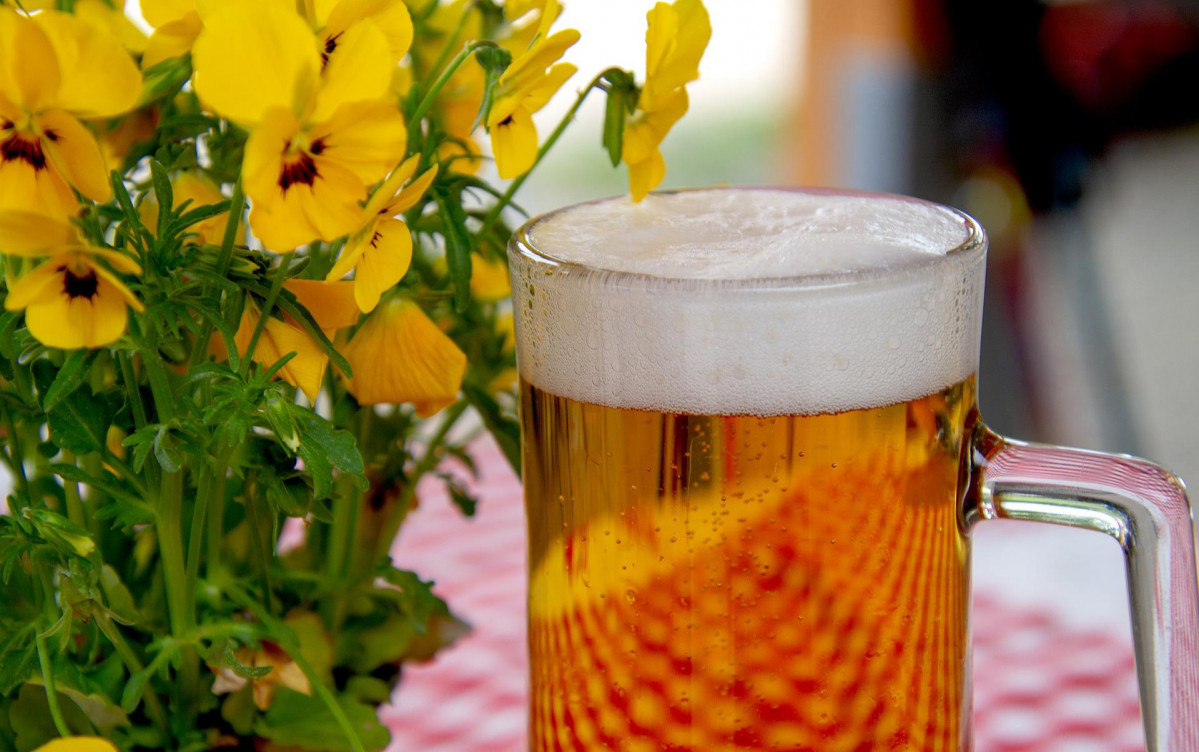 Beer 3378136 1920